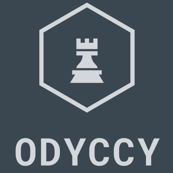 DJ Odyccy Store